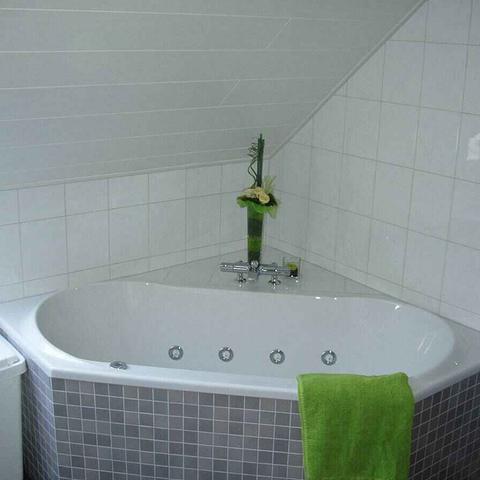Badkamer De Horste-Hogenkamp - foto 2