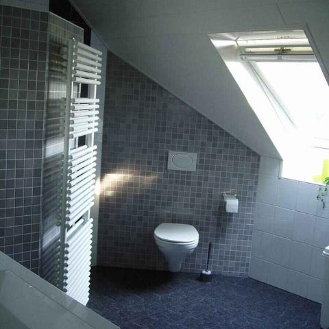 Badkamer De Horste-Hogenkamp - foto 4